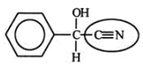 The millipede ejects the compound shown below to protect itself from its enemies. Identify the functional group circled.    A)  nitrile B)  alcohol C)  amide D)  amine E)  nitro