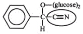 Amygdalin (Laetrile)  was once touted for its potential anticancer activity. However, the claims were never scientifically verified. Identify the functional group circled.   A)  carbonite B)  ether C)  amide D)  amine E)  nitrile