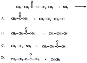 <strong>Identify the two principal products of the reaction between ammonia and ethyl propionate.  </strong> A) A B) B C) C D) D E) None of these choices are correct. <div style=padding-top: 35px> 