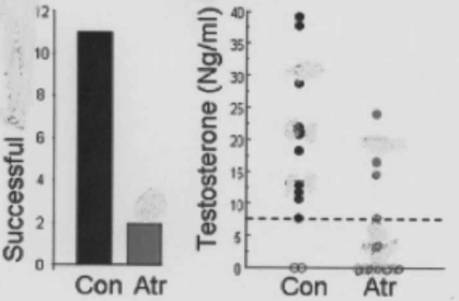   -In the study shown in the figure, male African clawed frogs were treated with atrazine, which is the most commonly applied herbicide (weed-killer) in the world.. These frogs were compared to other untreated frogs. Treated and untreated frogs were presented with a female and the number of successful matings of each was recorded. What questions can be answered by these data? A) Does atrazine have a greater effect on male frogs than on female frogs? B) Does the level of testosterone relate to mating success? C) Do individual frogs mate fewer times if they have been exposed to atrazine? D) Can atrazine be used to control frog population size?
