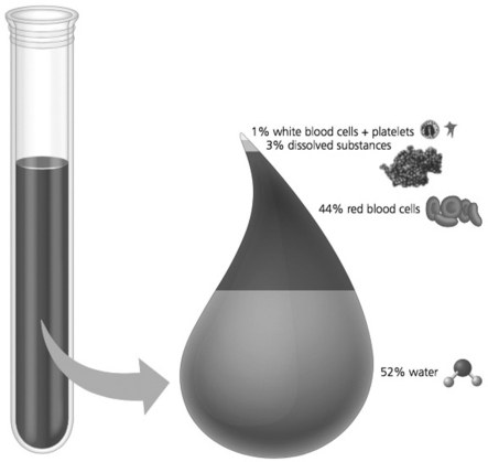   -In this figure, what could one of the dissolved substances be? A) protein B) erythrocytes C) leukocytes