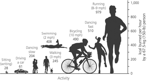 The Figure Below Shows the Energy (Kcal)burned Per Hour by a 150-Pound ...