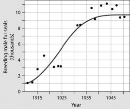 The line in between the data points on the curve is a trend line; a trend line shows the general pattern of the data points. In the curve, the trend line indicates that male fur seals reached carrying capacity in the year ________.   A) 1915 B) 1930 C) 1940 D) 1950