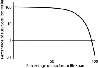 Which possible description best matches this figure?   A) Dolphins produce only single offspring at a time and provide parental care for many months. B) During  mating frenzies,  male and female squid aggregate and release hundreds of eggs and sperm into the water column. The fertilized eggs are often quickly preyed on by fish. C) The century plant grows for many years and reproduces and releases hundreds of seeds just once before it withers and dies. Because of the dry desert environment in which it lives, many of the seeds do not survive or are eaten. D) In some species of lizards and rodents, survivorship is constant over the life span.