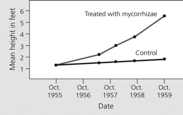   The figure shows results of a study where pine trees were treated with fungal mycorrhize to determine if the mycorrhize would affect the growth of the trees. Over the four-year study, only 36% of the control trees survived, while 85% of the pines treated with mycorrhizae survived. If the study was extended for another two years to the year 1961, what would you predict would occur with the control data and mean height of the pine trees? A) The control data would show a steep drop in mean height. B) The control data would continue to show a slight increase in height. C) The control data would show a steep increase in mean height.