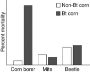 Scenario Corn crops are susceptible to damage by different species of corn borer, an insect (a type of arthropod) that feeds and lives on corn plants. It is estimated that corn borers may cause up to $1 billion of damage a year to corn crops. Because of pests like the corn borer, researchers have created genetically modified pest-resistant crops. One type of pest-resistant crop, Bt corn, expresses a bacterial toxin that kills corn borers if they consume the toxin. While Bt corn has been planted and used in the United States since 1996, some researchers and members of the public continue to worry about negative effects of the Bt toxin on other animals, including arthropods and humans. In order to investigate the effects of Bt toxins on other animals, researchers conducted experiments where they fed arthropods Bt corn or non-Bt corn. A summary of the effects of eating Bt corn on single species of corn borer, mite, and beetle are shown in the figure below.   -What can you conclude from the data in the graph? A) Corn borers are less likely to survive if they eat Bt corn compared to non-Bt corn. B) Mites have the highest percent mortality of the arthropods studied. C) Beetles are more likely to survive than mites when fed Bt corn. D) Bt corn affects the mortality of all three arthropods equally.