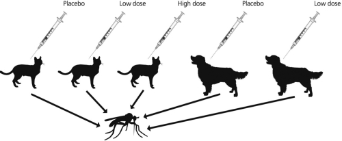 Researchers tested RNA vaccines against the West Nile virus in dogs and cats. The study design for this experiment is shown in the figure. What group(s) was(were) the experimental groups?   A) placebo for dogs and cats only B) low dose of vaccine for cats and dogs only C) high dose of vaccine for cats and low dose of vaccine for dogs only D) low dose and high dose of vaccine for cats and low dose of vaccine for dogs only