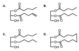 Which of the following compounds is not a hydrolyzable lipid?   A) A B) B C) C D) D