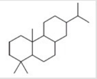 How many isoprene units are in the following molecule?   A) 1 B) 2 C) 3 D) 4