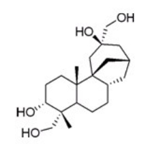 How many isoprene units are contained in the following molecule?   A) 5 B) 4 C) 3 D) 2