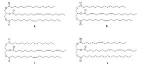 Triacylglycerol A yields compound B when treated with excess H<sub>2</sub>,Pd-C.Ozonolysis of A affords three molecules of compound C and one molecule of compound D.What is the structure of A?   Choices for Triglycerol A:   A) A B) B C) C D) D