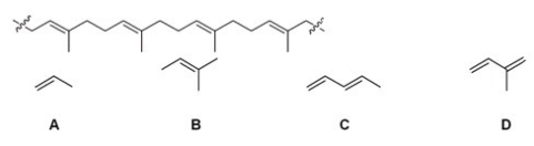 Which of the following is the monomer that gives the polymer shown below?     A) A B) B C) C D) D