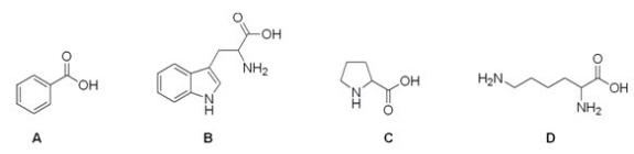 Which of the following compounds is not an amino acid?   A) A B) B C) C D) D