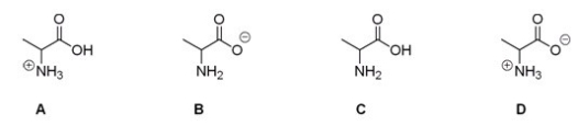 Which of the following is the correct structure for alanine at pH = 7?   A) A B) B C) C D) D