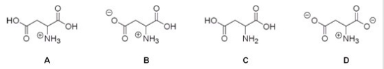 Which of the following is the correct structure for aspartic acid at pH = 1?   A) A B) B C) C D) D