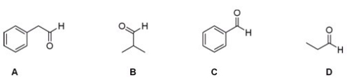 Which of the following aldehydes would be a good starting material in the Strecker synthesis of phenylalanine?   A) A B) B C) C D) D