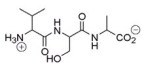 What amino acid is at the C-terminus of the following peptide?   A) Valine B) Serine C) Alanine D) Proline