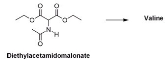 What is the appropriate sequence of reaction conditions used to synthesize valine from acetamidomalonic ester?   A) (1) NaOH; (2) (CH<sub>3</sub>) <sub>2</sub>CHBr; (3) Cl<sub>2</sub>,H<sub>2</sub>O,heat B) (1) NaOCH<sub>2</sub>CH<sub>3</sub>; (2) (CH<sub>3</sub>) <sub>2</sub>CH<sub>2</sub>CHBr; (3) HCl,H<sub>2</sub>O,heat C) (1) NaOCH<sub>2</sub>CH<sub>3</sub>; (2) (CH<sub>3</sub>) <sub>2</sub>CHBr; (3) HCl,H<sub>2</sub>O,heat D) (1) NaOH; (2) CH<sub>3</sub>CH<sub>2</sub>CH<sub>2</sub>Br; (3) HCl,H<sub>2</sub>O,heat