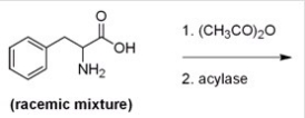 Below is a proposed method for resolving a racemic mixture of (R) - and (S) -phenylalanine.Upon separation of the products,will this method produce (R) - or (S) -phenylalanine?   A) (R) -Phenylalanine is produced since the acylase only hydrolyzes the amides of L-amino acids. B) (S) -Phenylalanine is produced since the acylase only hydrolyzes the amides of L-amino acids. C) (R) -Phenylalanine is produced since the acylase only hydrolyzes the amides of D-amino acids. D) (S) -Phenylalanine is produced since the acylase only hydrolyzes the amides of D-amino acids.