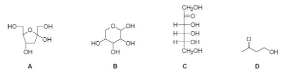 Which of the following compounds is an aldose?   A) A B) B C) C D) D