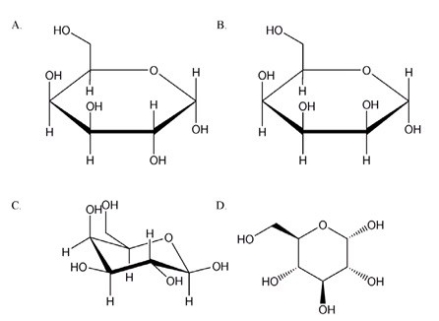 Which of the following compounds is a b anomer?   A) A B) B C) C D) D