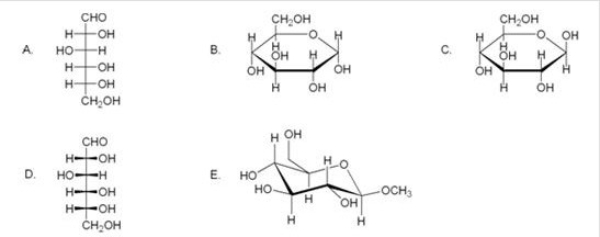 Which of the following compounds is not a valid representation for D-glucose?   A) A B) B C) C D) D E) E