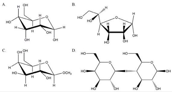 From the sugars shown below,which one will not give a positive test with Tollens reagent?   A) A B) B C) C D) D