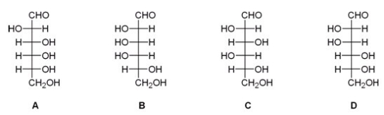 After a series of Kiliani-Fischer syntheses on D-glyceraldehyde,an unknown sugar was isolated from the reaction mixture.The following experimental data was obtained.What is the structure of this unknown sugar? Data: - Molecular formula: C<sub>6</sub>H<sub>12</sub>O<sub>6</sub> - Reacts with phenylhydrazine to give an osazone,mp 178°C. - Reacts with HNO<sub>3</sub> to give an optically active aldaric acid. - Wohl degradation followed by HNO<sub>3</sub> oxidation gives an optically inactive Aldaric acid. - Two Wohl degradations followed by HNO<sub>3</sub> oxidation give a meso-tartaric acid.   A) A B) B C) C D) D