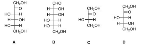 Which of the following sugars can be classified as an aldohexose?   A) A B) B C) C D) D