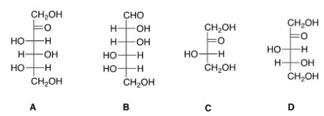 Which of the following sugars can be classified as a ketohexose?   A) A B) B C) C D) D