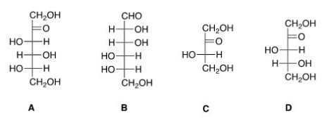 Which of the following sugars can be classified as a ketopentose?   A) A B) B C) C D) D