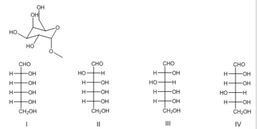 What is the Fischer projection of the monosaccharide from which the following glycoside was prepared?   A) I B) II C) III D) IV