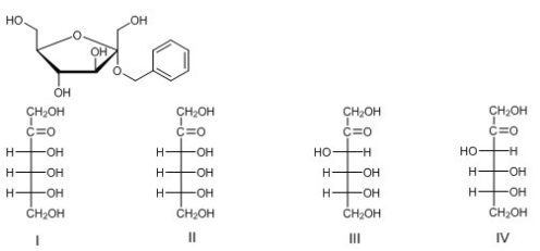 What is the Fischer projection of the monosaccharide from which the following glycoside was prepared?   A) I B) II C) III D) IV
