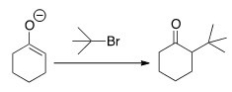 Why can't you prepare 2-tert-butylcyclohexanone by the following reaction?   A) Because tert-butyl bromide is too basic. B) Because tert-butyl bromide cannot undergo an S<sub>N</sub>2 reaction. C) Because tert-butyl bromide is a nucleophile. D) Because tert-butyl bromide is not a stable compound.