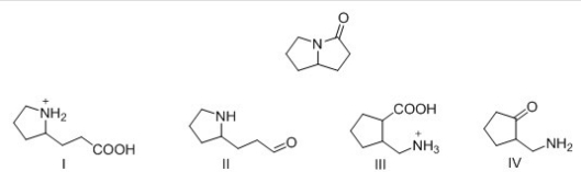 What is the product formed by hydrolysis of the following lactone with acid?   A) I B) II C) III D) IV