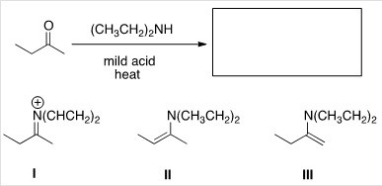 What is (are) the product(s) of the following reaction?   A) I only B) II only C) III only D) II and III