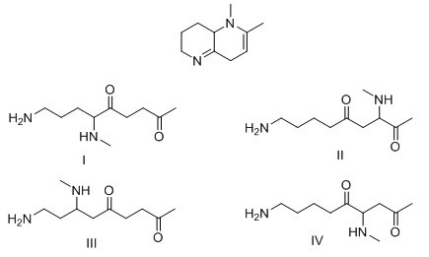 What product is formed when the following compound is hydrolyzed with aqueous acid?   A) I B) II C) III D) IV
