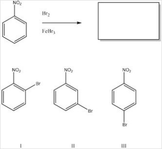 What is the product of the following monobromonation reaction?   A) Only I B) Only II C) Only III D) Only I and III
