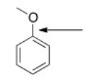 What orbitals are used to form the indicated bond?   A) sp<sup>3</sup> B) sp<sup>2</sup> C) p D) sp<sup>3</sup> and sp<sup>2</sup>