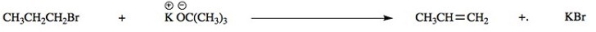 Consider the following E2 reaction.What rate equation would be observed for this reaction?   A) Rate = k[CH<sub>3</sub>CH<sub>2</sub>CH<sub>2</sub>Br] B) Rate = k[CH<sub>3</sub>CH<sub>2</sub>CH<sub>2</sub>Br][KOC(CH<sub>3</sub>) <sub>3</sub>] C) Rate = k[CH<sub>3</sub>CH<sub>2</sub>CH<sub>2</sub>Br][KOC(CH<sub>3</sub>) <sub>3</sub>]<sup>2</sup> D) Rate = k[CH<sub>3</sub>CH<sub>2</sub>CH<sub>2</sub>Br]<sup>2</sup>[KOC(CH<sub>3</sub>) <sub>3</sub>]