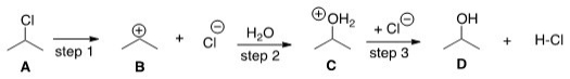 If the conversion of A to B is slow and B to C is fast,what is the rate equation for this reaction?   A) Rate = k[(CH<sub>3</sub>) <sub>2</sub>CHCl][H<sub>2</sub>O] B) Rate = k[(CH<sub>3</sub>) <sub>2</sub>CHCl] C) Rate = k[(CH<sub>3</sub>) <sub>2</sub>CH]<sup>+</sup>[H<sub>2</sub>O] D) Rate = k[(CH<sub>3</sub>) <sub>2</sub>CH]<sup>+</sup>