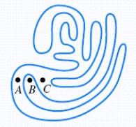 Let X be a point obviously outside the figure. Draw   . How many times does it cross the curve? ​   ​ It will cross the curve an __________ (even, odd) number of times.