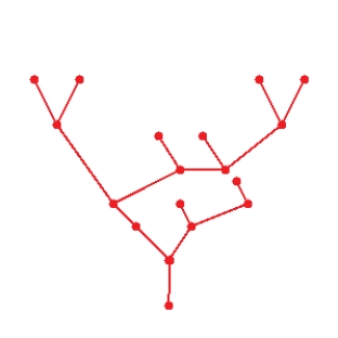 Determine whether the graph is a tree.   A)  tree B)  not a tree