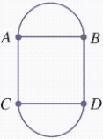 Is the network a Euler circuit or a Hamiltonian circuit? ​   ​ Can this network be traversed? Answer yes or no.