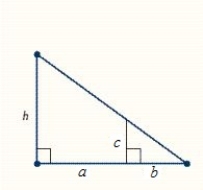 The figure contains two similar triangles. Find the unknown measure indicated by a variable. Round your answer to the nearest tenth. ​   ​ Where   ​  