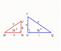 Are the triangles similar or not similar? ​  