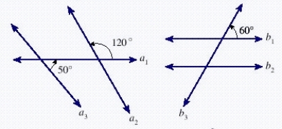 Each of the two diagrams in the figure below shows lines in the same plane. Determine whether the following statement is true or false. The lines a <sub>1</sub> and a <sub>3</sub> are both intersecting and parallel. ​   ​