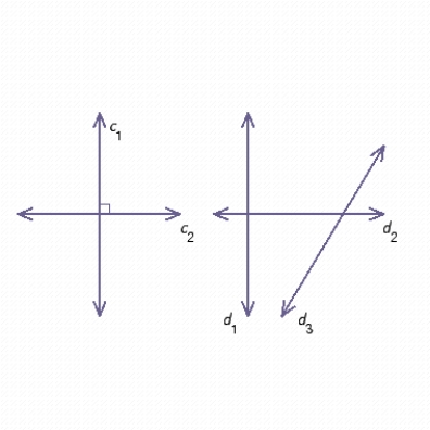 Each of the two diagrams in the figure below shows lines in the same plane. Determine whether the following statement is true or false. ​ The lines c​<sub>2</sub> and ​d​<sub>2</sub> are horizontal. ​  