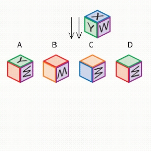 Study the examples. The arrows indicate the direction that the given cube has been rotated 90°. Pick the cube illustrating the appropriate rotations. ​ Rotating a cube. ​   ​ Rotation: downward, downward ​   A) A B) B C) C D) D