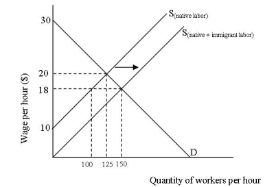 Use the graph to answer questions   -This model illustrates the impact of __________________ on host country labor markets. A) complements B) substitutes C) positive externalities D) inferior goods